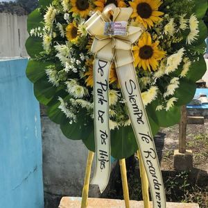 Meet your Posher, Marilyn